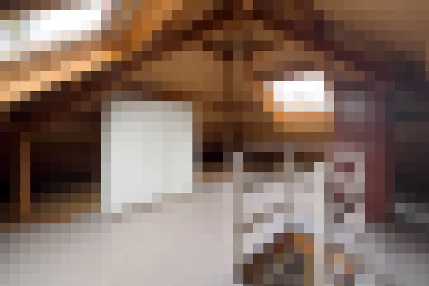 Ferdinand Bolstraat 22 Voorthuizen thumbnail 36