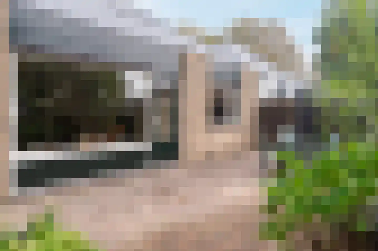 Ferdinand Bolstraat 22 Voorthuizen thumbnail 37