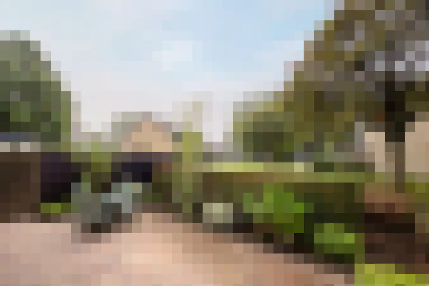 Ferdinand Bolstraat 22 Voorthuizen thumbnail 5