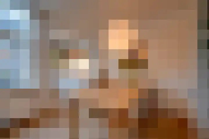 Ferdinand Bolstraat 23 Utrecht thumbnail 13