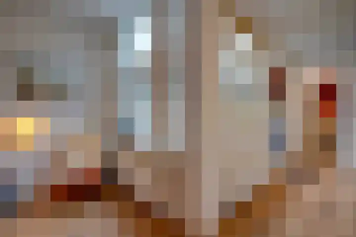 Ferdinand Bolstraat 23 Utrecht thumbnail 14