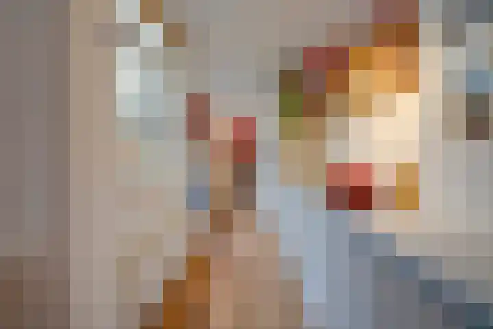 Ferdinand Bolstraat 23 Utrecht thumbnail 15