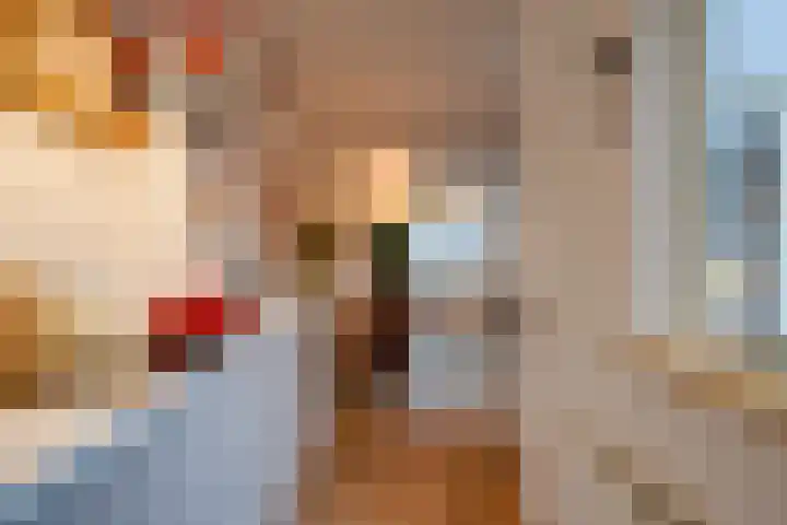 Ferdinand Bolstraat 23 Utrecht thumbnail 18
