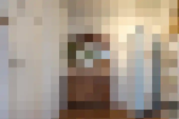 Ferdinand Bolstraat 23 Utrecht thumbnail 29