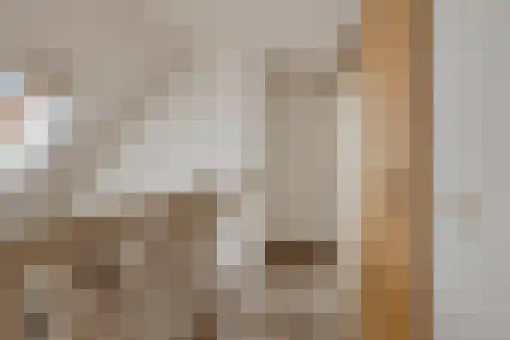 Ferdinand Bolstraat 24 Hendrik-Ido-Ambacht thumbnail 21
