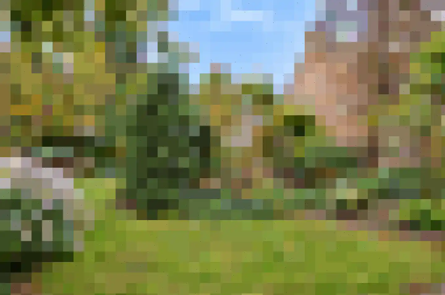 Ferdinand Bolstraat 25 a Deurne thumbnail 28