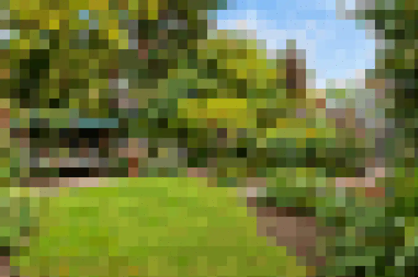 Ferdinand Bolstraat 25 a Deurne thumbnail 29