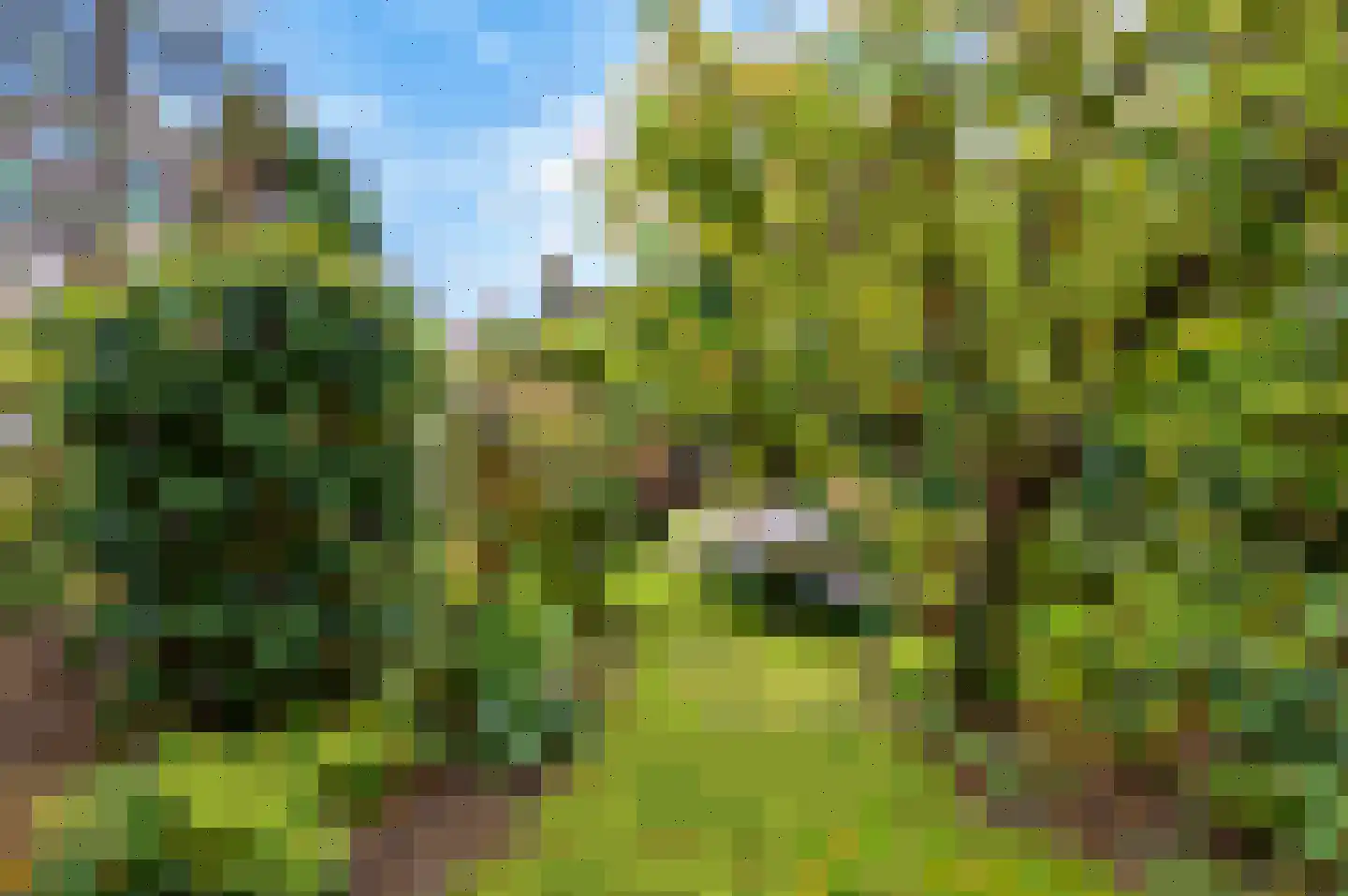 Ferdinand Bolstraat 25 a Deurne thumbnail 30