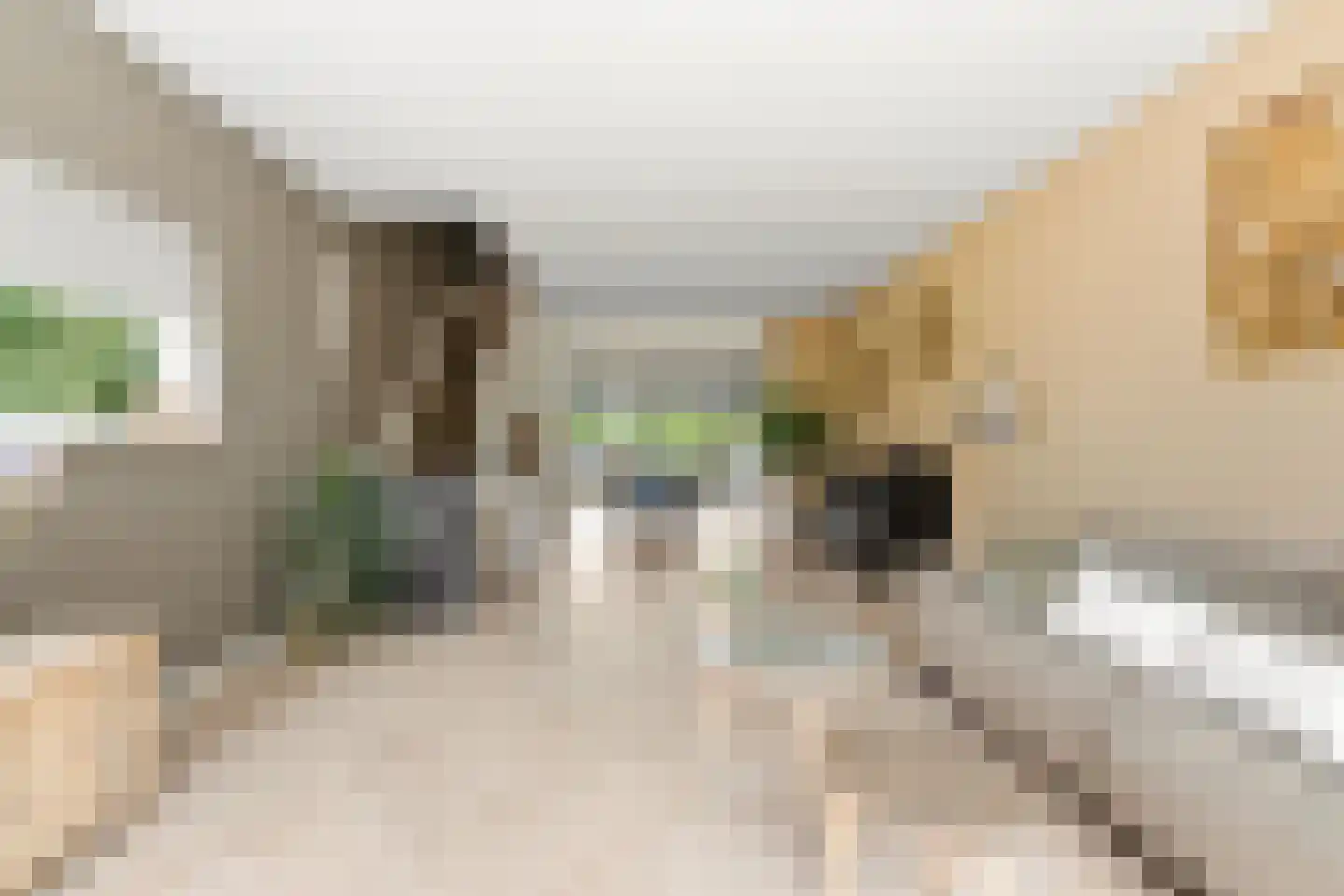 Ferdinand Bolstraat 25 Alblasserdam thumbnail 17