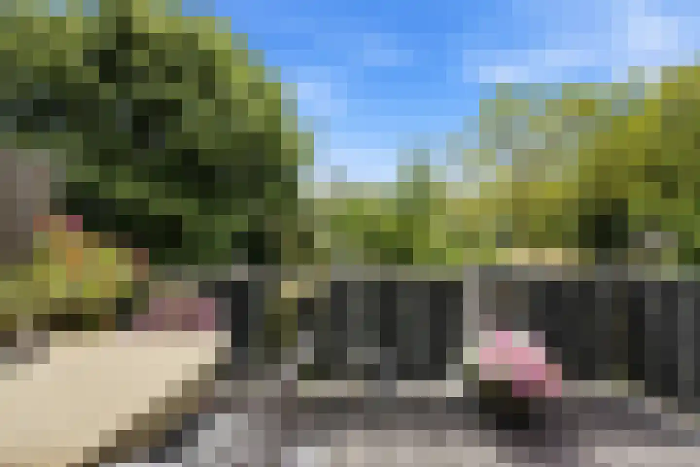 Ferdinand Bolstraat 25 Alblasserdam thumbnail 33