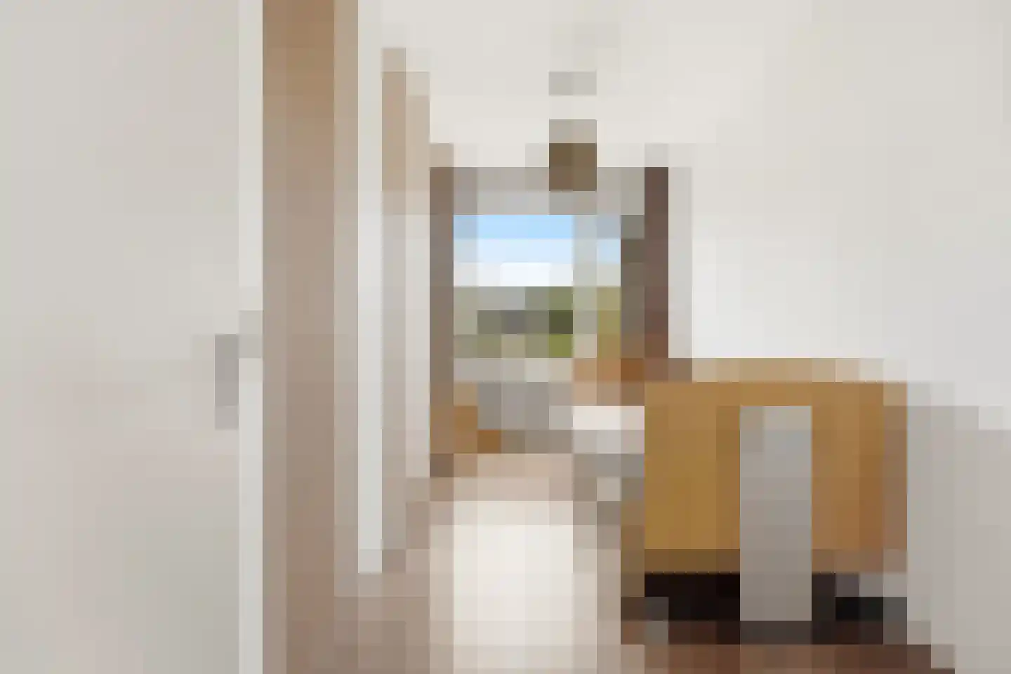 Ferdinand Bolstraat 25 Alblasserdam thumbnail 38