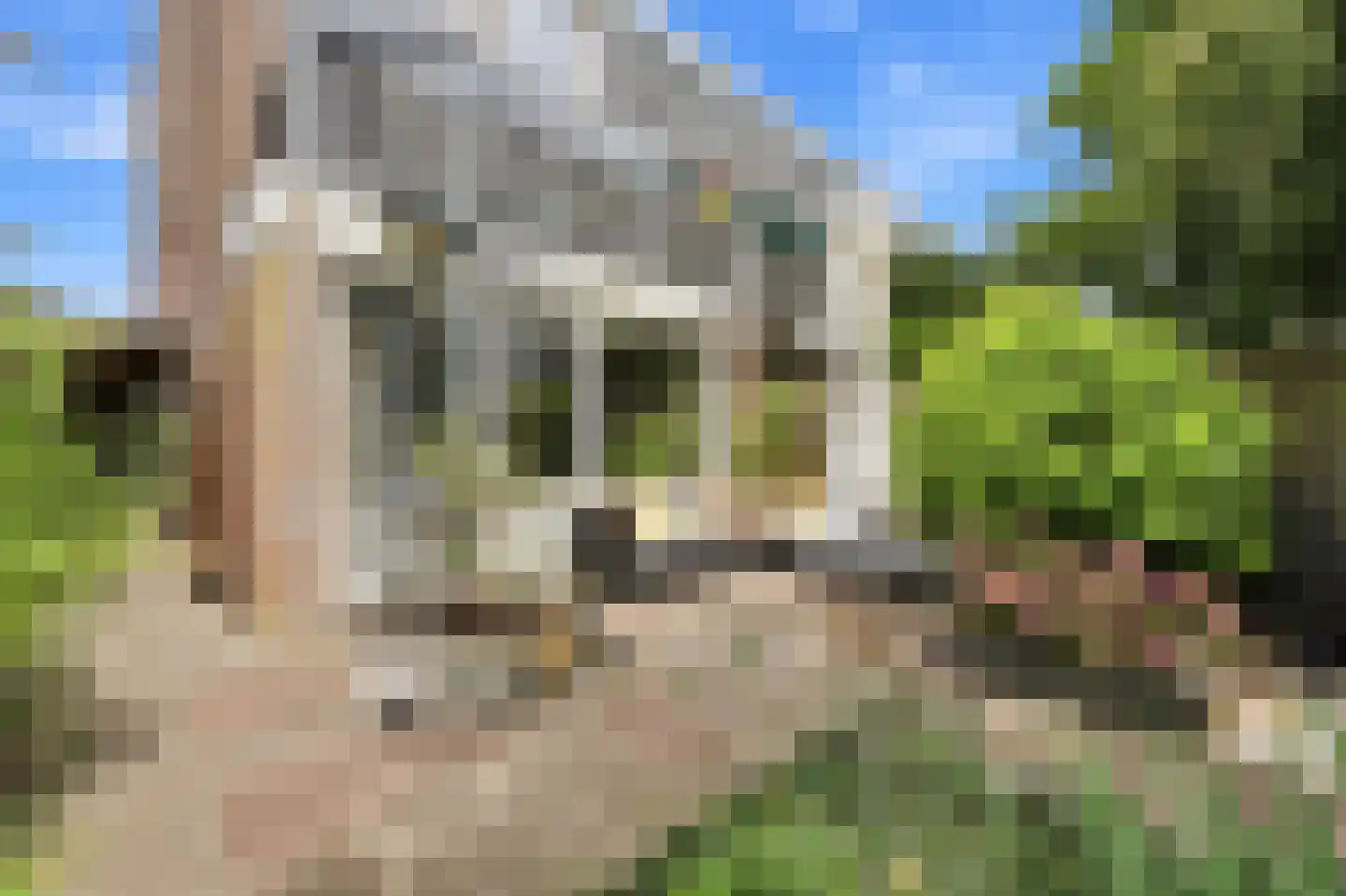 Ferdinand Bolstraat 25 Alblasserdam thumbnail 47
