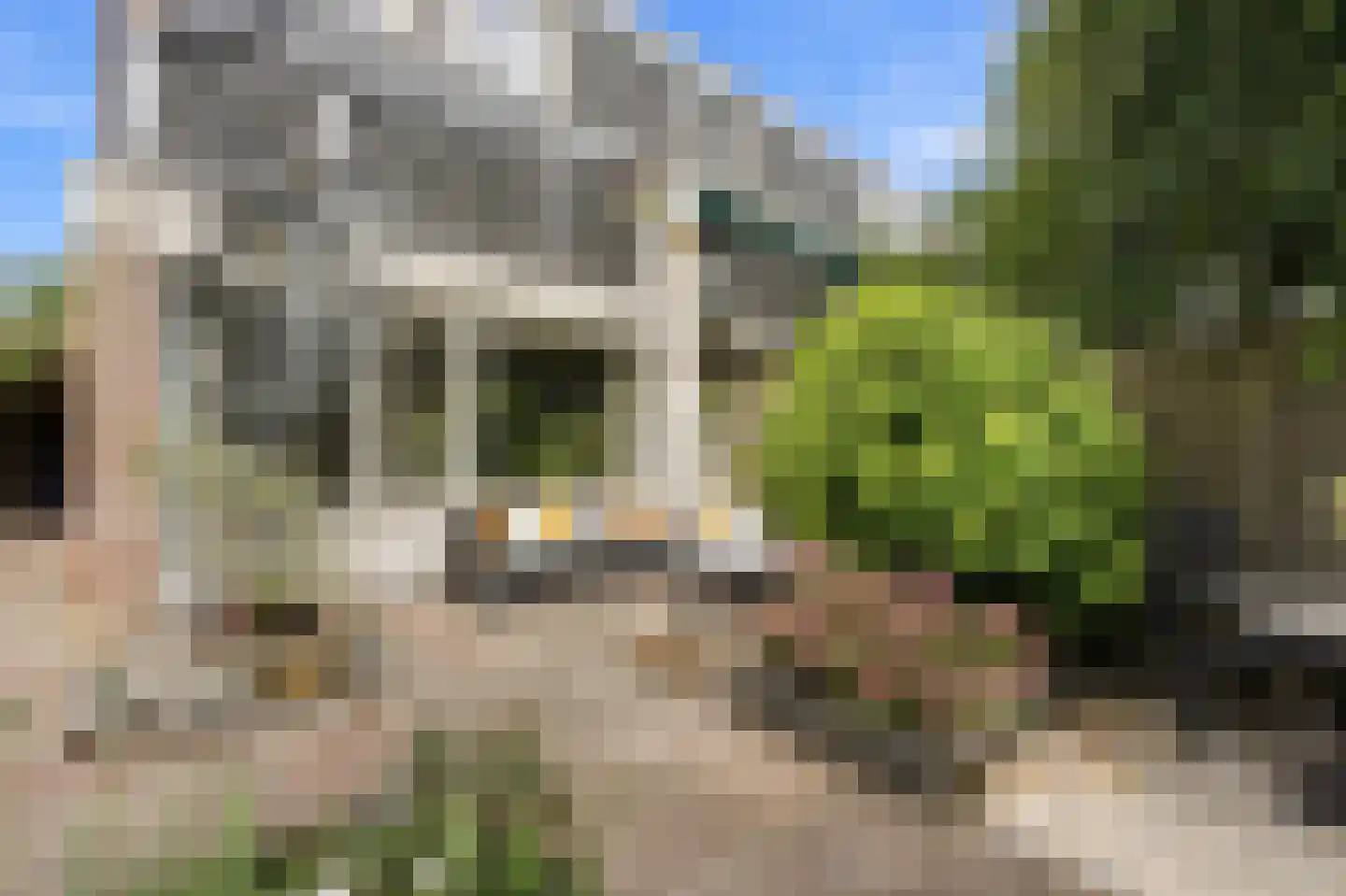 Ferdinand Bolstraat 25 Alblasserdam thumbnail 48