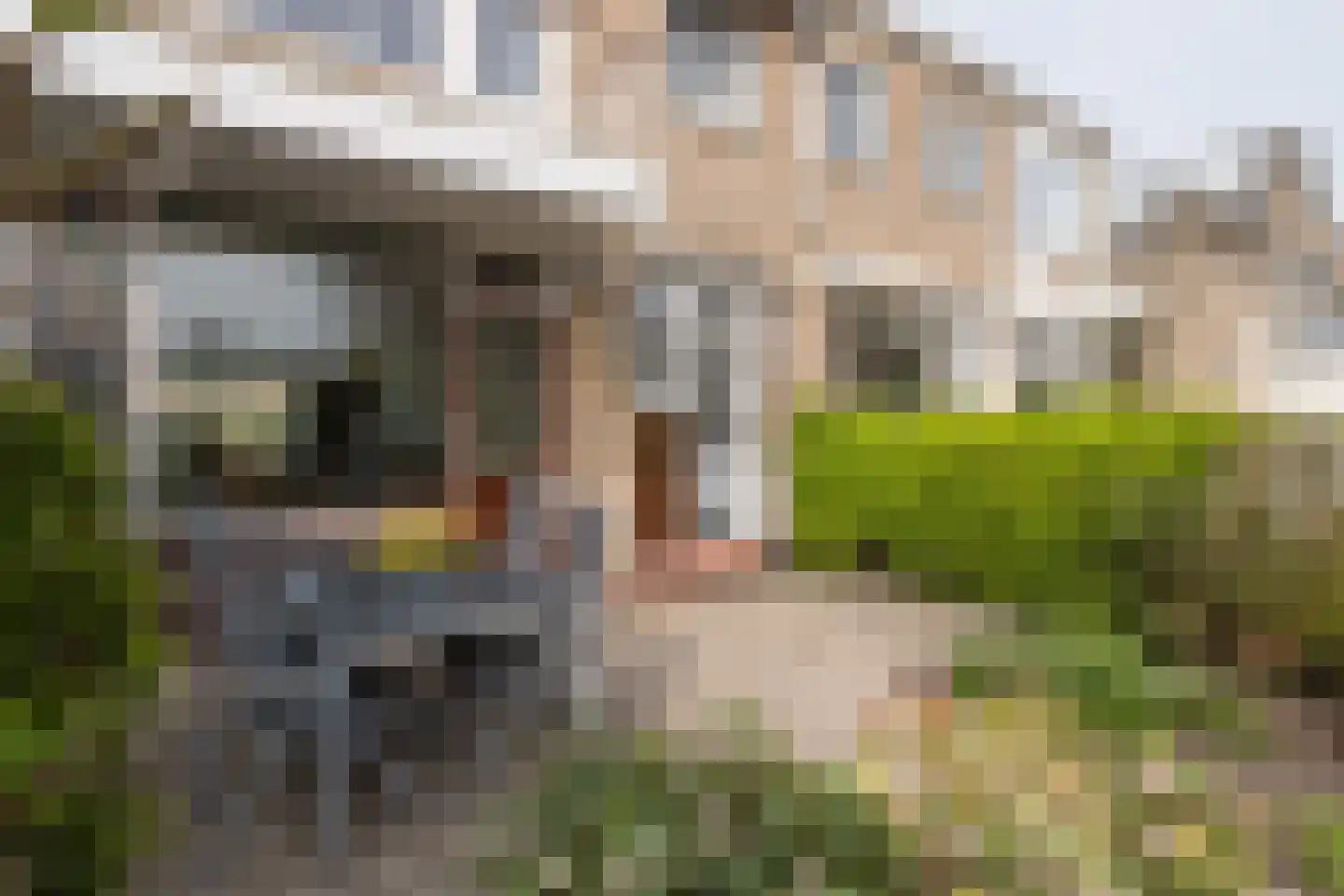 Ferdinand Bolstraat 26 Ridderkerk thumbnail 11