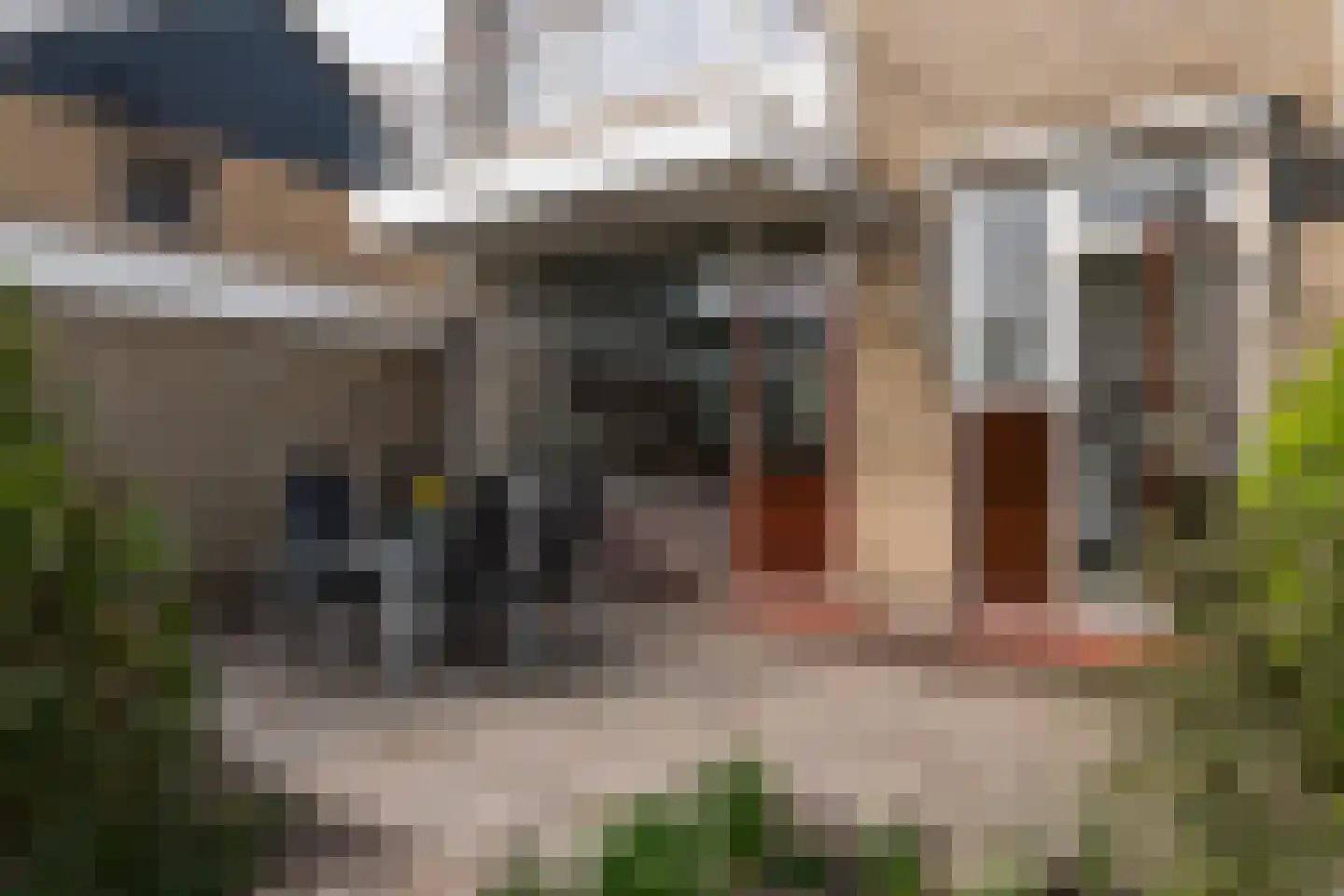 Ferdinand Bolstraat 26 Ridderkerk thumbnail 16