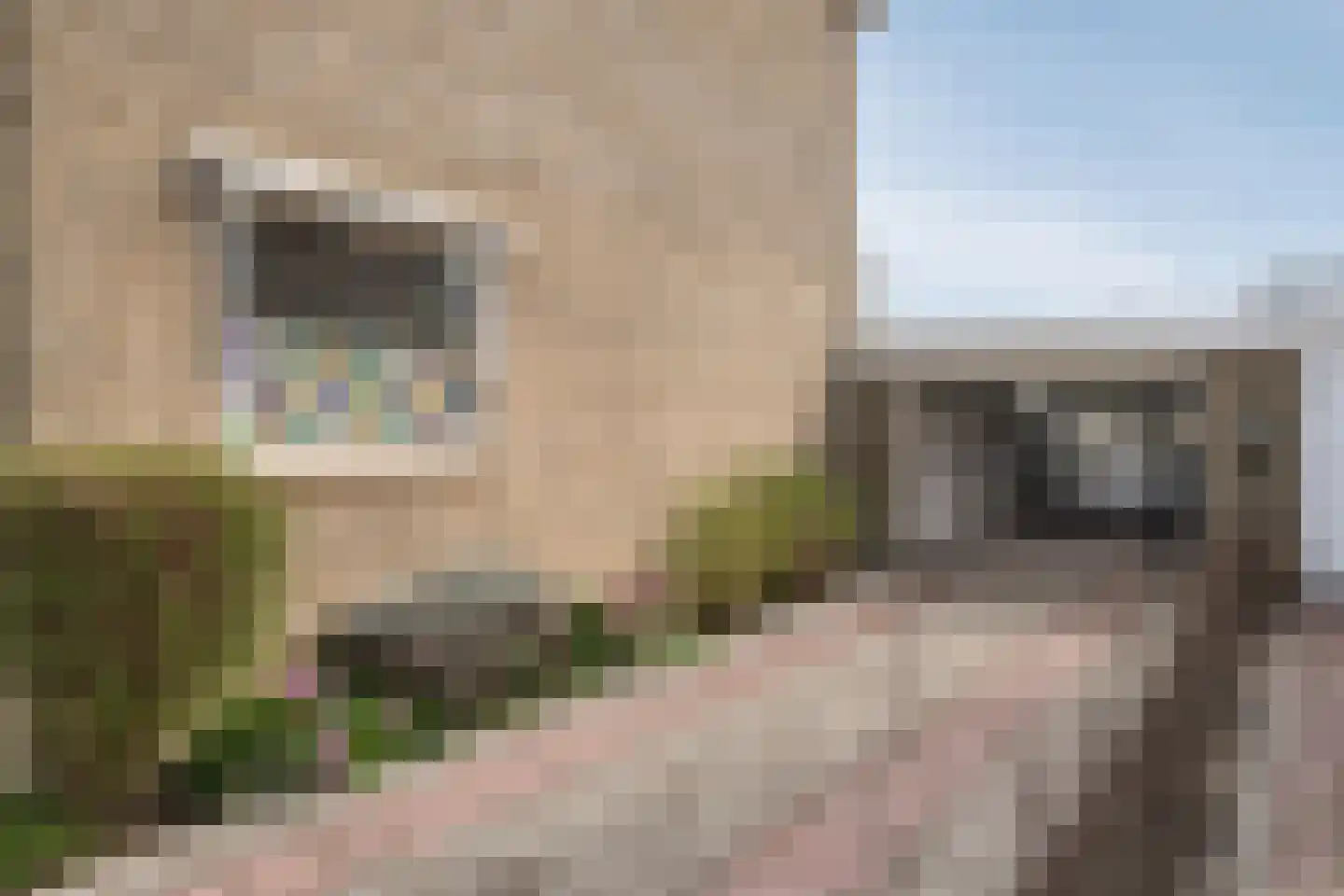 Ferdinand Bolstraat 26 Ridderkerk thumbnail 17