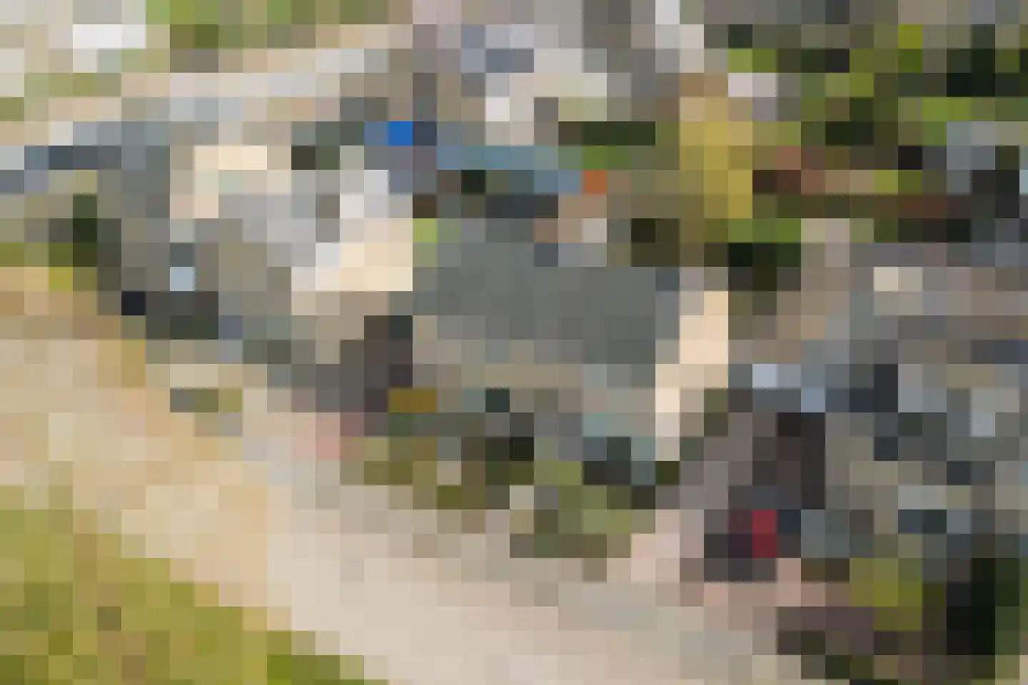 Ferdinand Bolstraat 26 Ridderkerk thumbnail 34