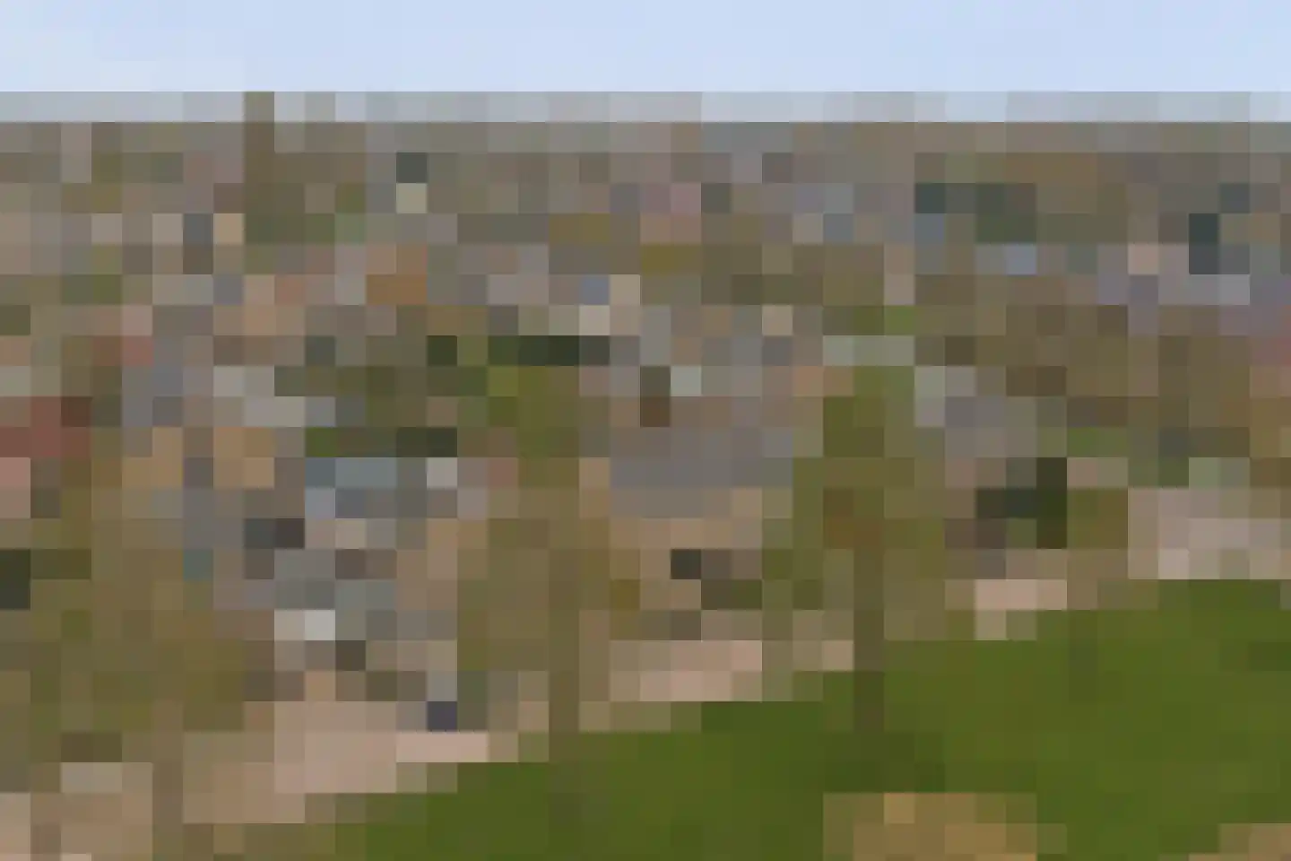 Ferdinand Bolstraat 28 Ridderkerk thumbnail 45