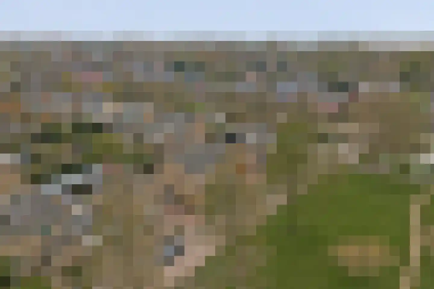 Ferdinand Bolstraat 28 Ridderkerk thumbnail 46