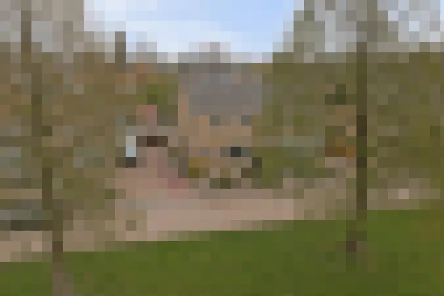 Ferdinand Bolstraat 28 Ridderkerk thumbnail 49