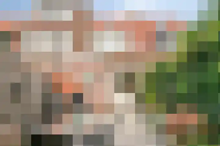 Ferdinand Bolstraat 3 Deventer thumbnail 17