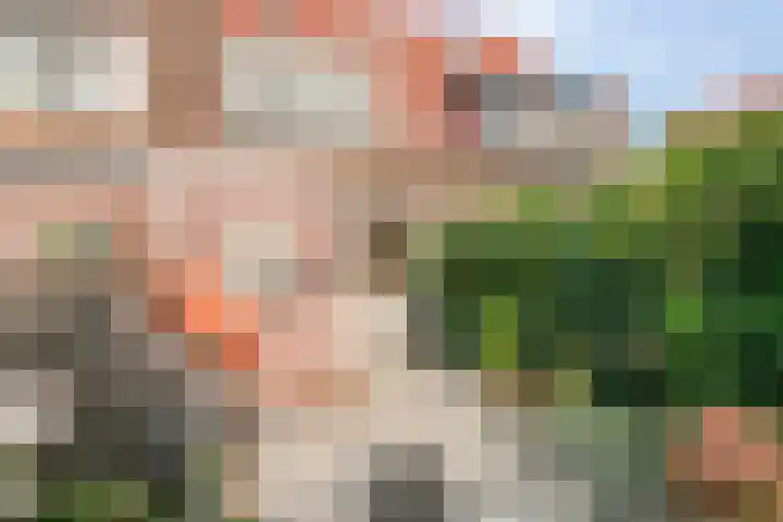 Ferdinand Bolstraat 3 Deventer thumbnail 21