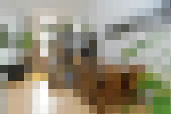 Ferdinand Bolstraat 3 Eindhoven thumbnail 11