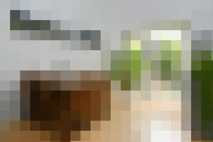 Ferdinand Bolstraat 3 Eindhoven thumbnail 12
