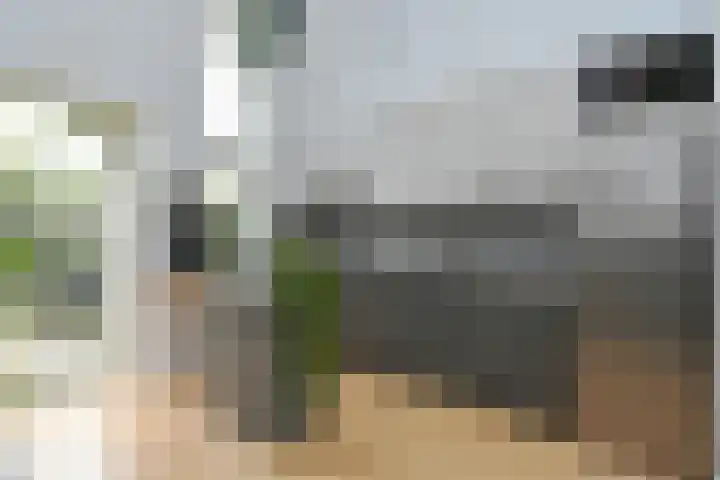 Ferdinand Bolstraat 3 Eindhoven thumbnail 13