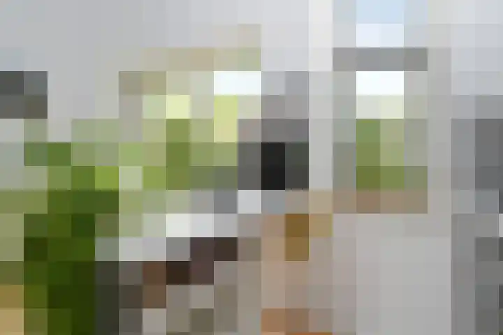 Ferdinand Bolstraat 3 Eindhoven thumbnail 15