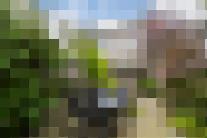 Ferdinand Bolstraat 3 Eindhoven thumbnail 20