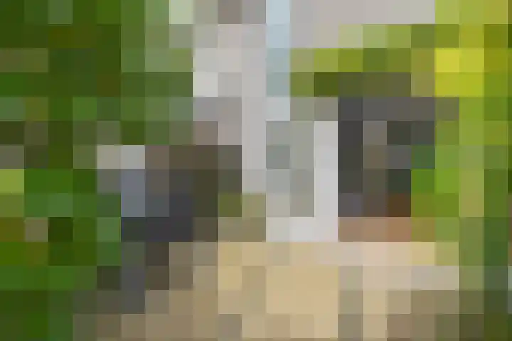 Ferdinand Bolstraat 3 Eindhoven thumbnail 22
