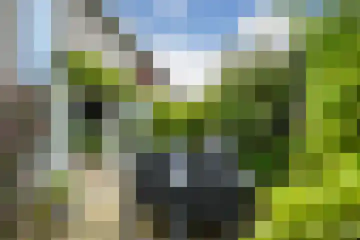Ferdinand Bolstraat 3 Eindhoven thumbnail 23