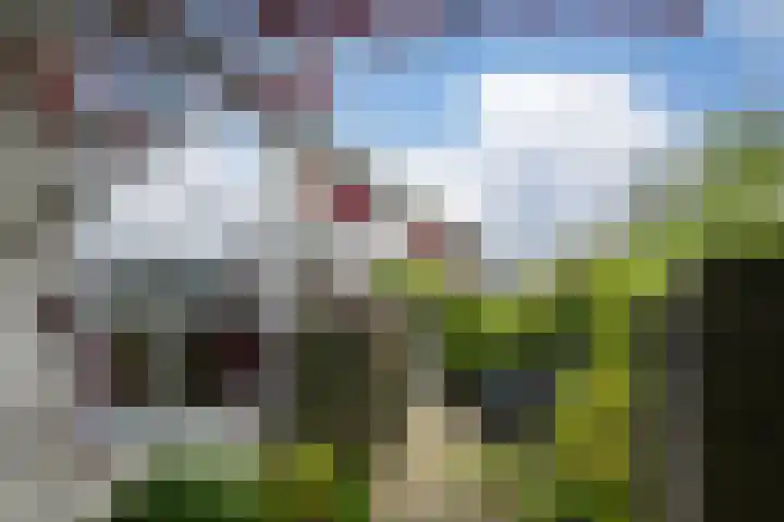 Ferdinand Bolstraat 3 Eindhoven thumbnail 24