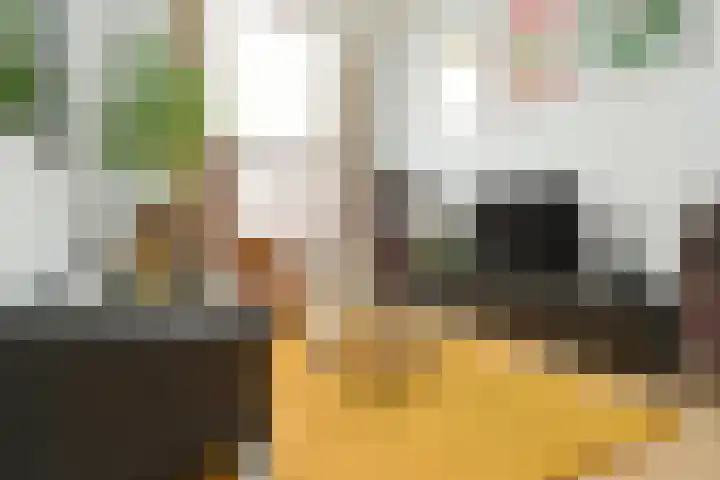 Ferdinand Bolstraat 3 Eindhoven thumbnail 7