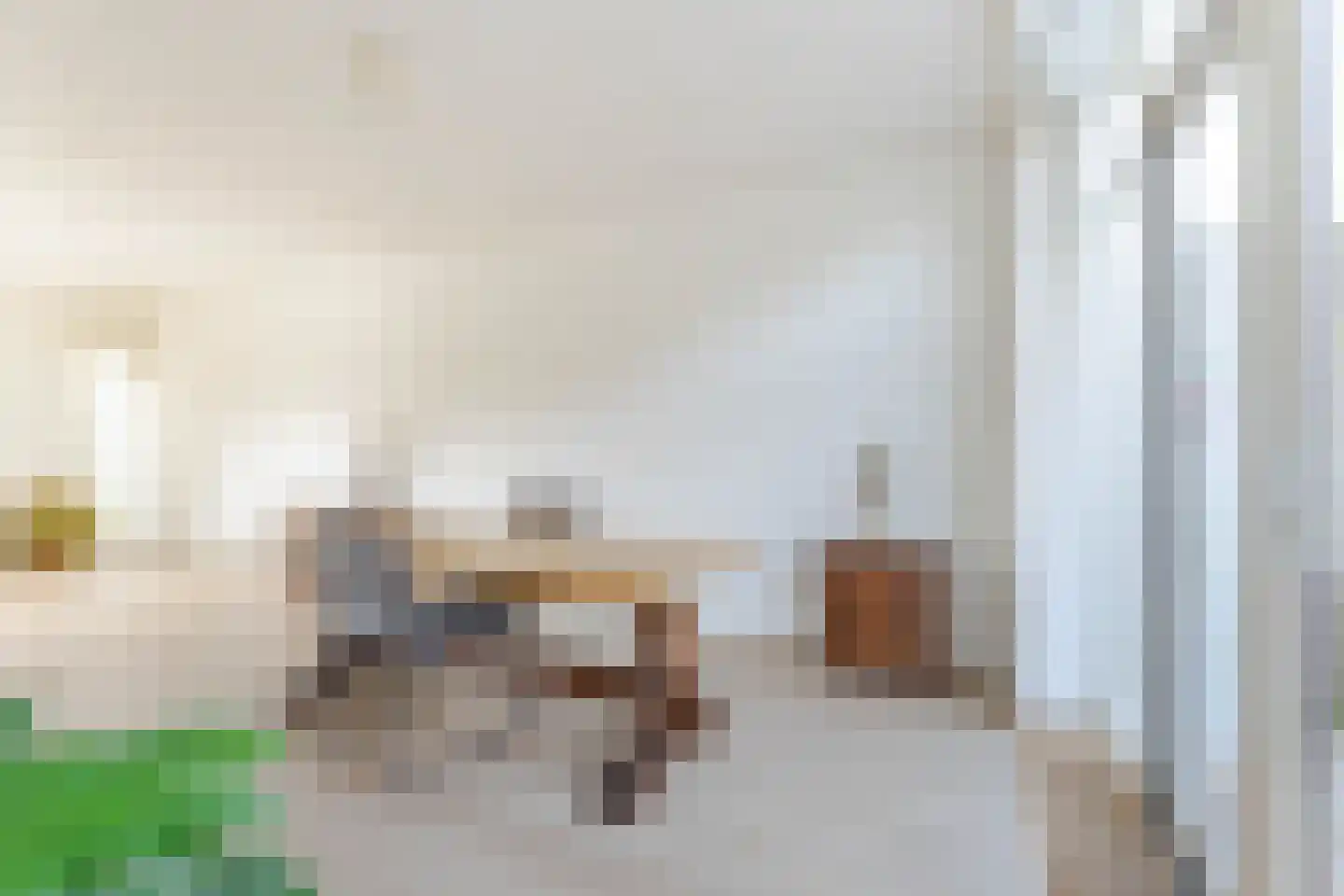 Ferdinand Bolstraat 3 Hazerswoude-Dorp thumbnail 11