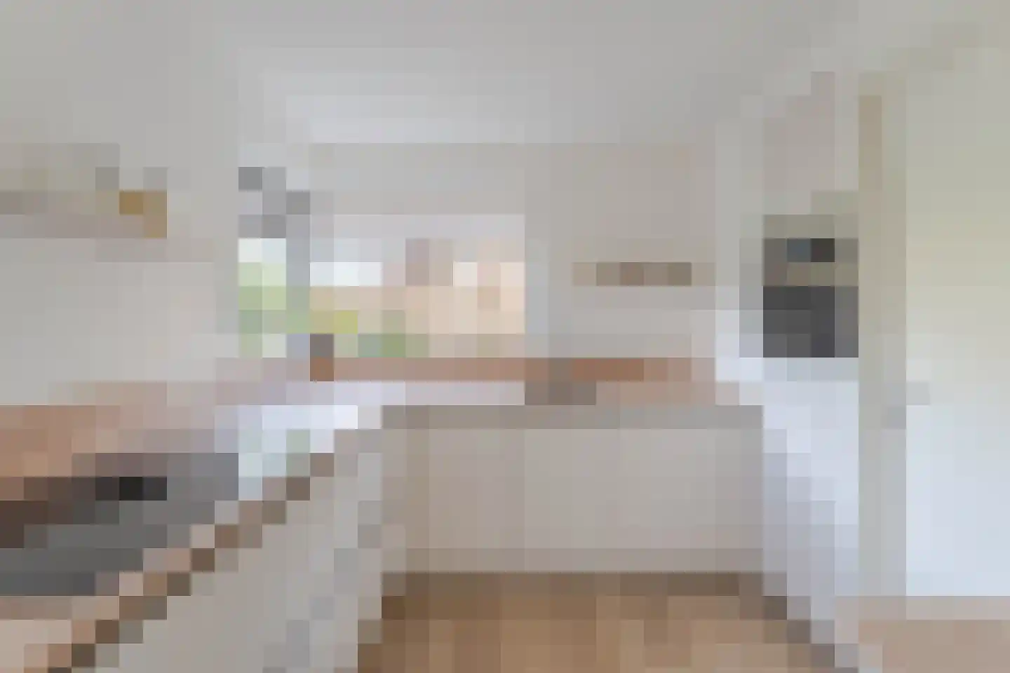 Ferdinand Bolstraat 3 Hazerswoude-Dorp thumbnail 14