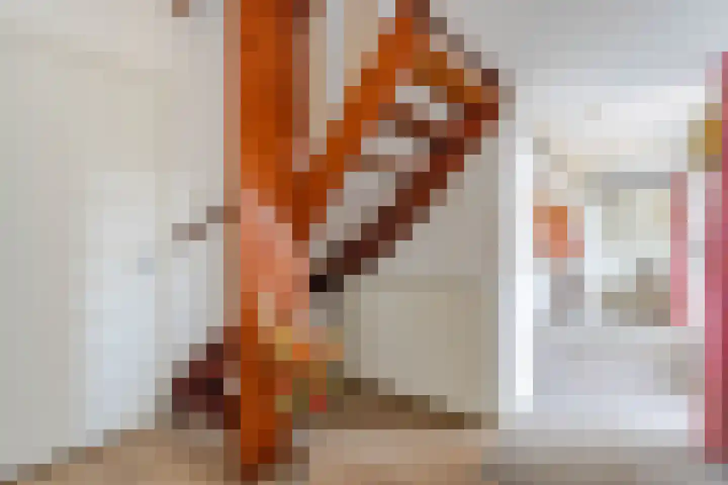 Ferdinand Bolstraat 3 Hazerswoude-Dorp thumbnail 17