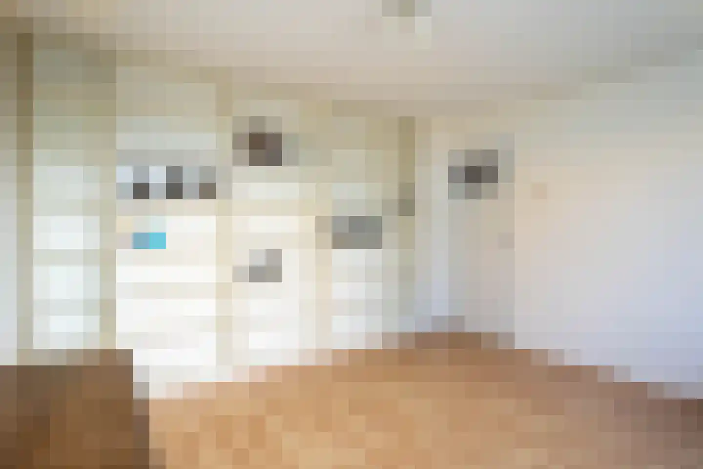Ferdinand Bolstraat 3 Hazerswoude-Dorp thumbnail 27