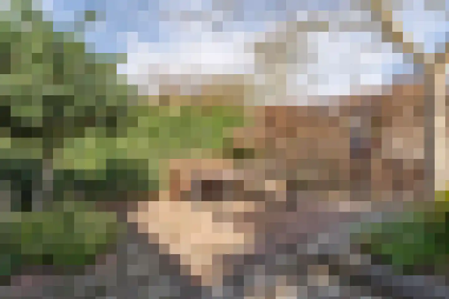 Ferdinand Bolstraat 3 Hazerswoude-Dorp thumbnail 37