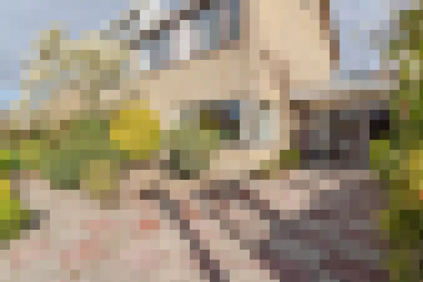 Ferdinand Bolstraat 3 Hazerswoude-Dorp thumbnail 4