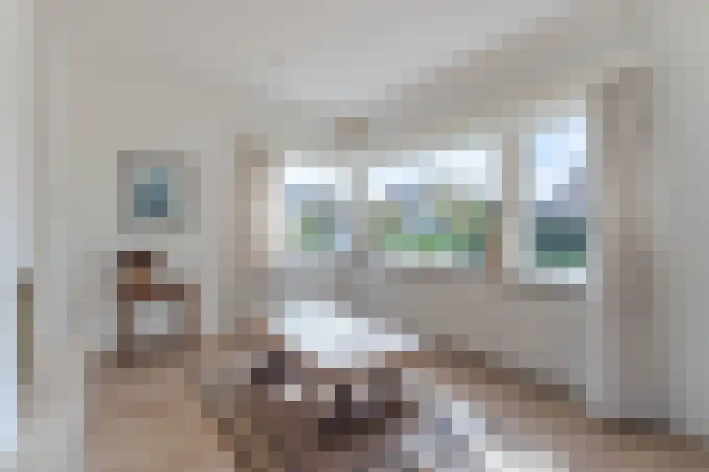 Ferdinand Bolstraat 3 Hazerswoude-Dorp thumbnail 7