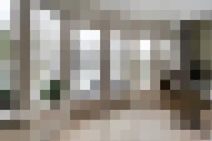 Ferdinand Bolstraat 3 Ommen thumbnail 17
