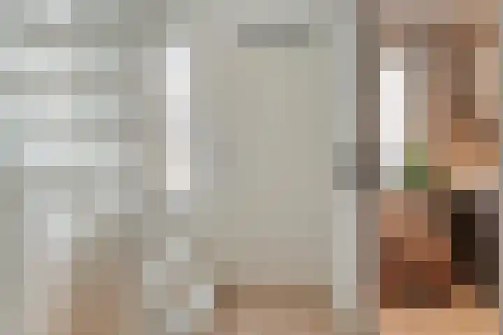 Ferdinand Bolstraat 3 Ommen thumbnail 35