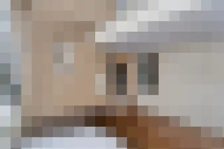 Ferdinand Bolstraat 3 Ommen thumbnail 8