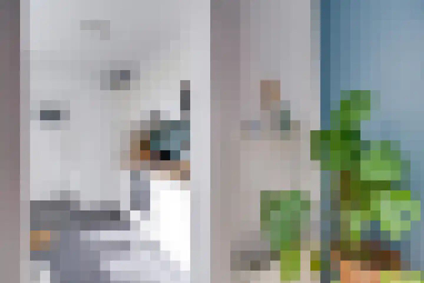 Ferdinand Bolstraat 31 Utrecht thumbnail 24