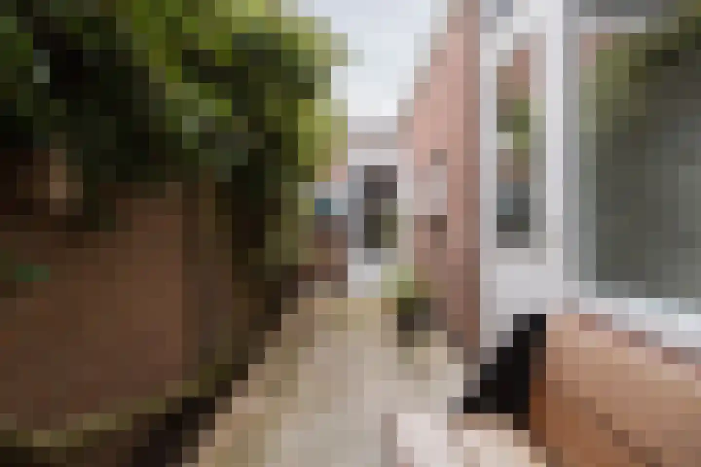 Ferdinand Bolstraat 31 Utrecht thumbnail 29