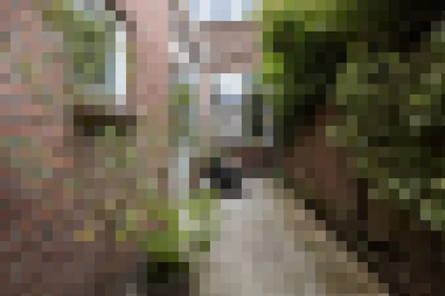 Ferdinand Bolstraat 31 Utrecht thumbnail 31