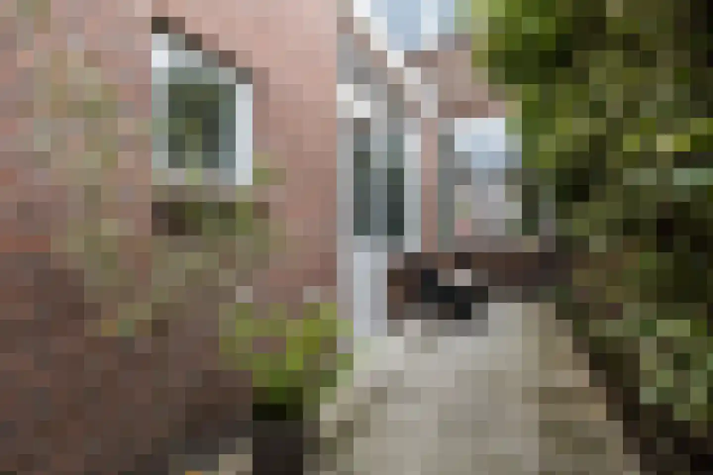 Ferdinand Bolstraat 31 Utrecht thumbnail 32