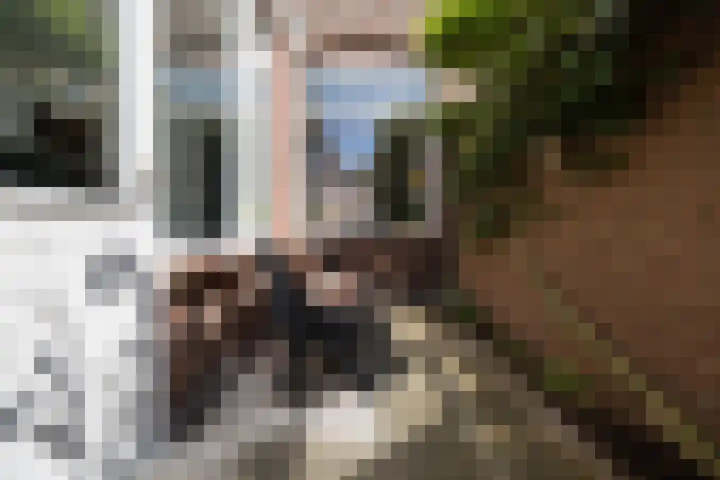 Ferdinand Bolstraat 31 Utrecht thumbnail 34